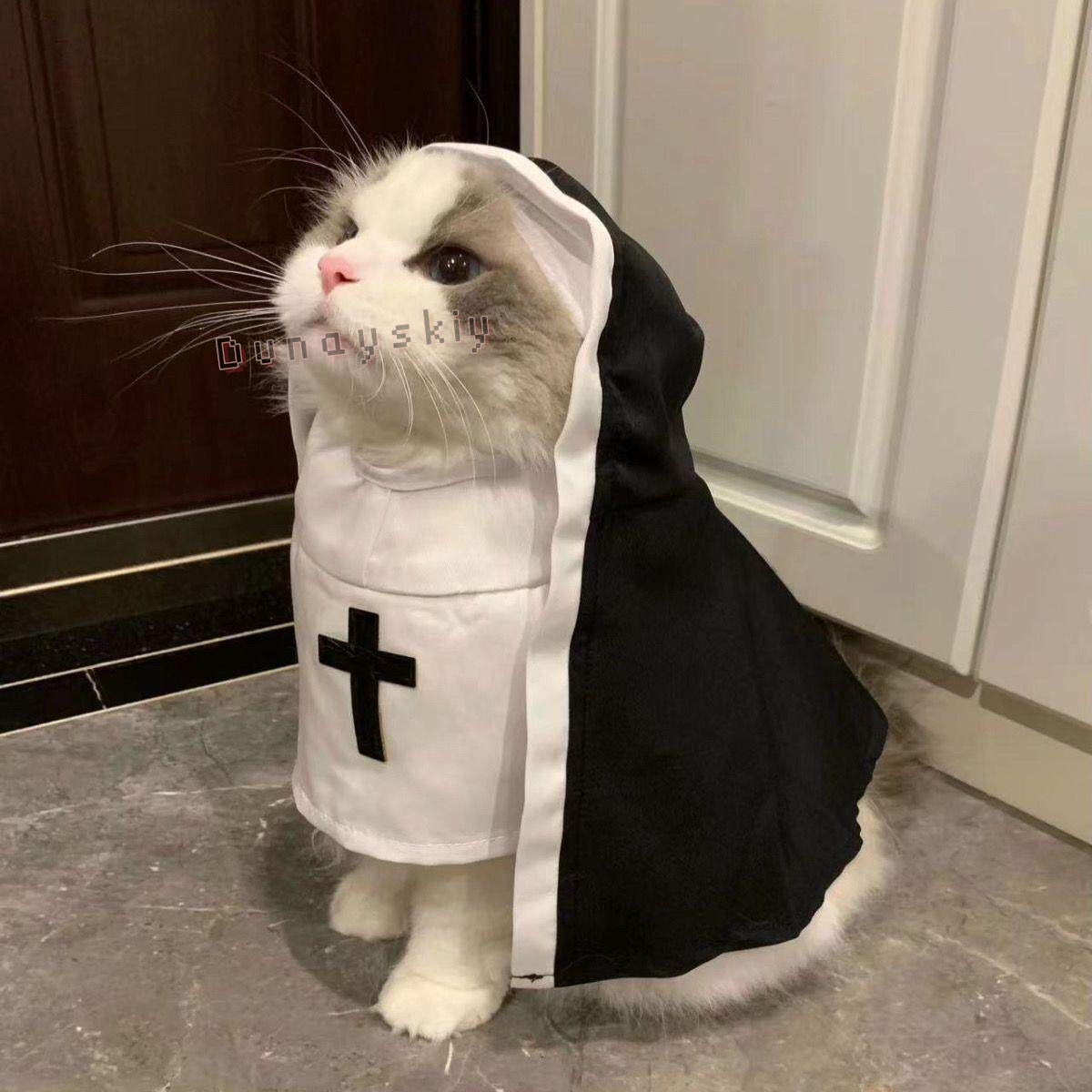 Kerst Hond Kat Cosplay Kostuum - Anime Cosplay Cat recensie en prijs