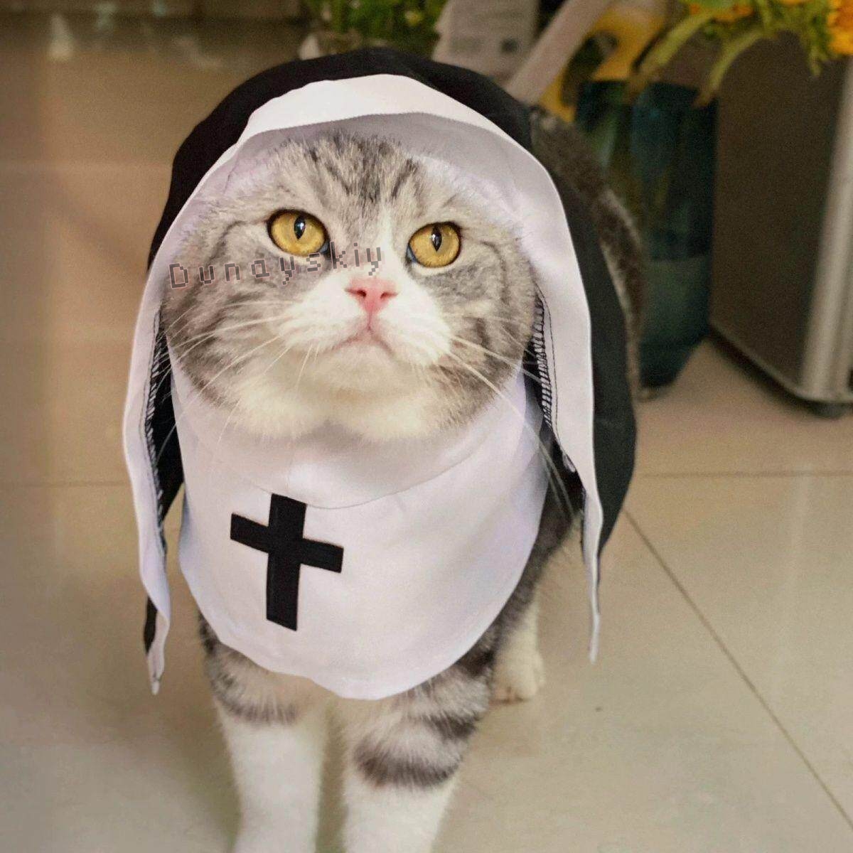 Kerst Hond Kat Cosplay Kostuum - Anime Cosplay Cat recensie en prijs