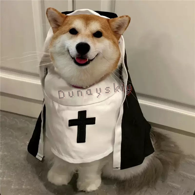 Kerst Hond Kat Cosplay Kostuum - Anime Cosplay Cat recensie en prijs